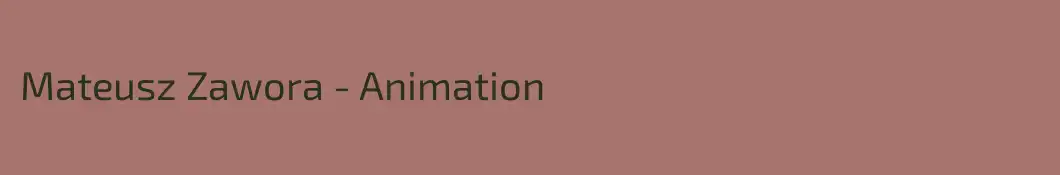 Mateusz Zawora - Animation